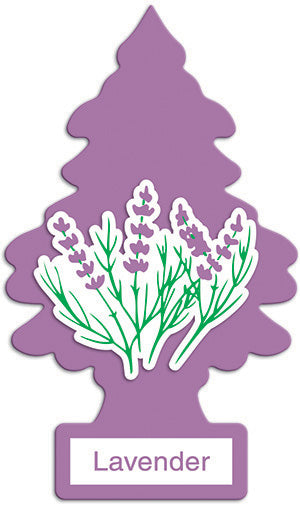 little trees lavender Car Air Freshener Little Trees Lavender 24 Ct at UsaCandyWholesale.Com