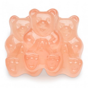 Gummy Bears Grape Fruit Bulk Candy Individual Unwrapped Candy By Albanese Quantity 5 Pounds Per Bag Sweet Browse at UsaCandyWholesale.Com