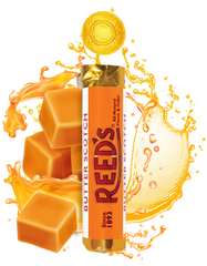 Reeds Butter Scotch Flavor Hard Candy Quantity 24 Rolls Per Box Sweet Browse at UsaCandyWholesale.Com