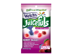 Welch's Juice Fuls Berry Splash 4 oz Each Bag Quantity 12 Bags Per Case Sweet Browse at UsaCandyWholesale.Com