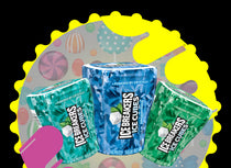Ice Breakers Ice Cube Gum